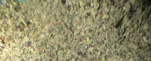 SK SHAKE