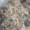 SPRBOOF BLACK BERRY SUPER BOOF -THCA FLOWER