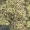 GRAPE GAS THCA FLOWER