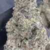 WHITE CHOCOLATE CHIP THCA FLOWER